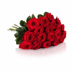 geschenkideen-zum-valentinstag_miflora-blumenstrauss-20-rote-rosen-mit-xxl-bluetenkoepfen-gratis-grusskarte-inklusive